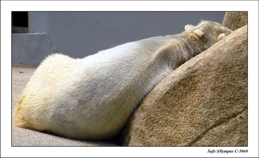 2005 - 06 - Zoo 015.JPG